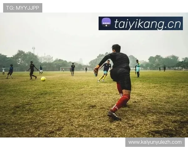 开云体育登陆网址官方入口推荐确保安全稳定快速登录体验指南