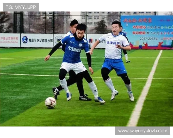 最新半岛体育体育app下载方法，详细介绍不同平台安装技巧与注意事项