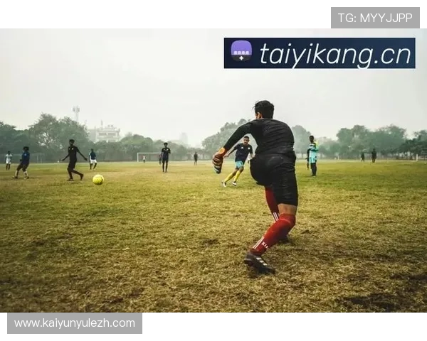 开云体育娱乐官网入口安全稳定登录指南，详细介绍官方入口地址保障用户账号安全